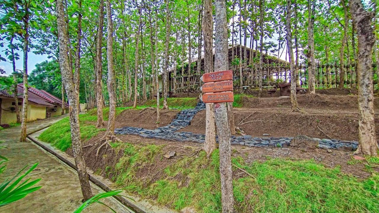 Kasuari Exotic Resort Магеланг Экстерьер фото